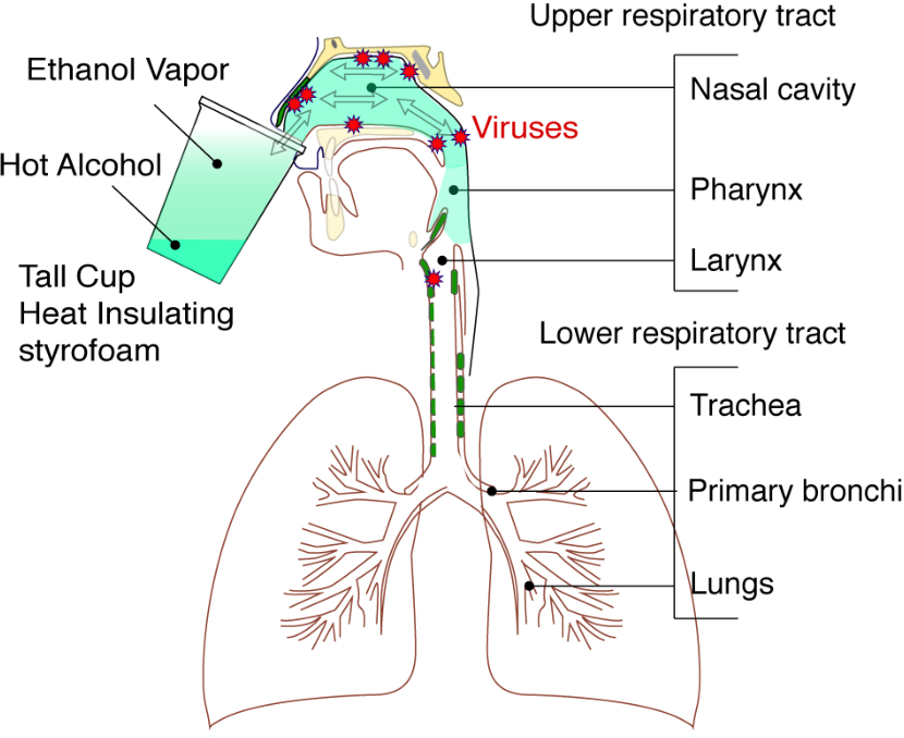 covid19 disinfection