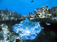chrissi island south side seabed