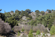 Kroustas Forest Crete 